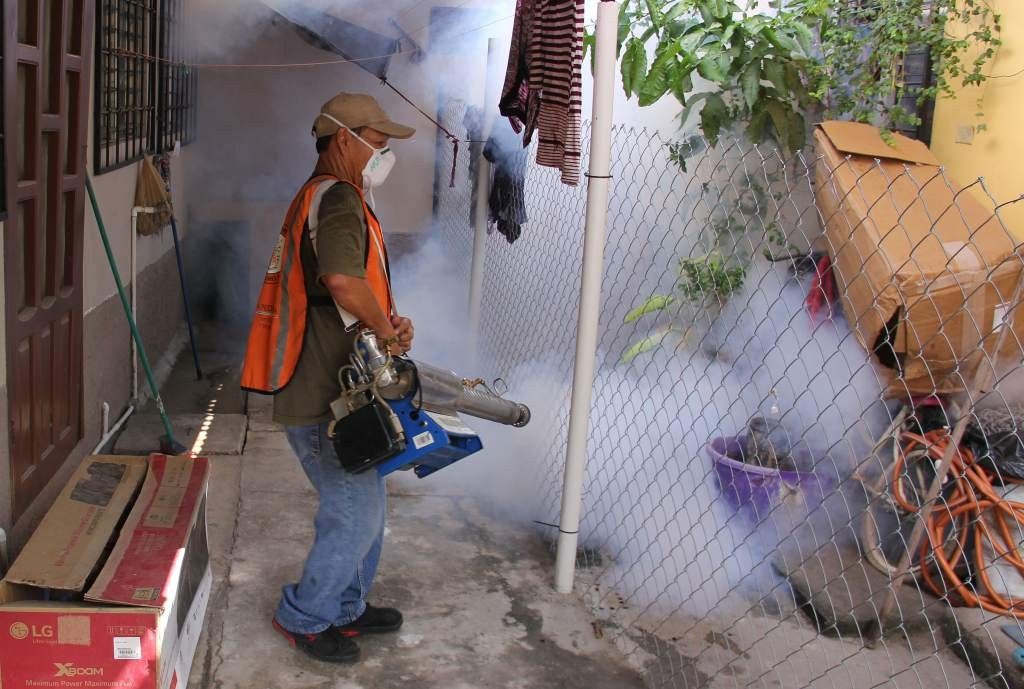 Con fumigaciones quieren “aterrizar” al zancudo propagador del Dengue