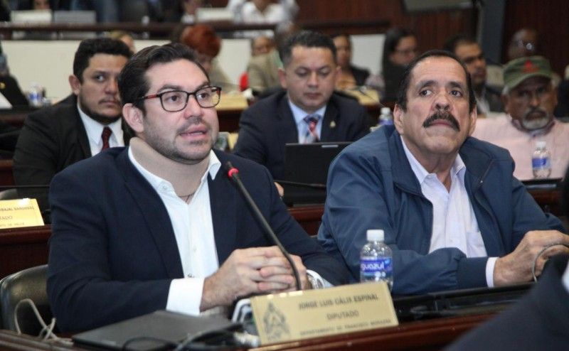 Diputado Jorge Cálix: “Reconozco la voluntad del presidente del CN para abrir espacios a las reformas electorales”