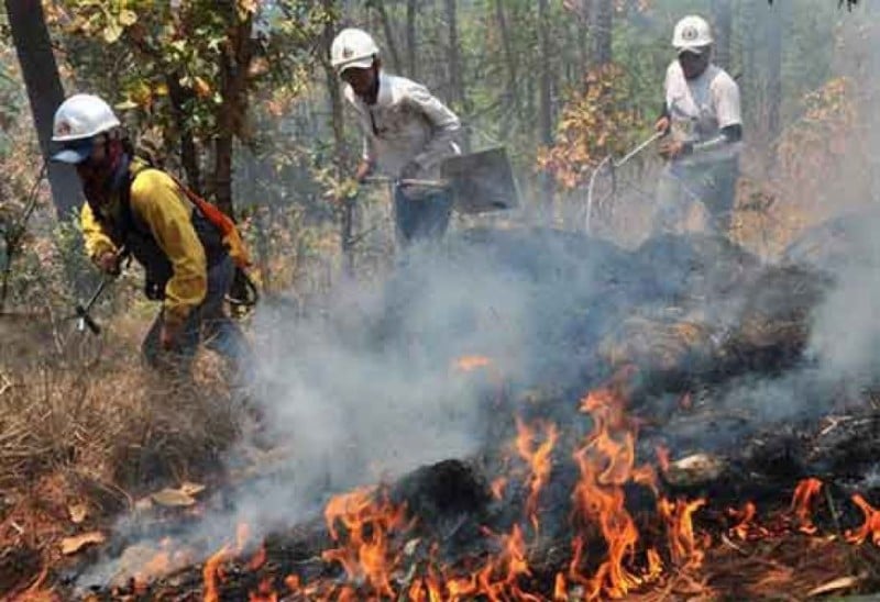 Incendios Forestales Amhon Presupuesto