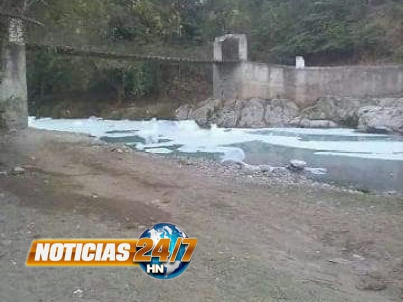 Desastre Ambiental Río Chamelecón Mortandad Peces