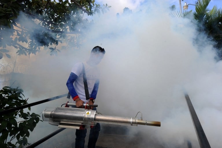 Dengue mata lucha Plataforma