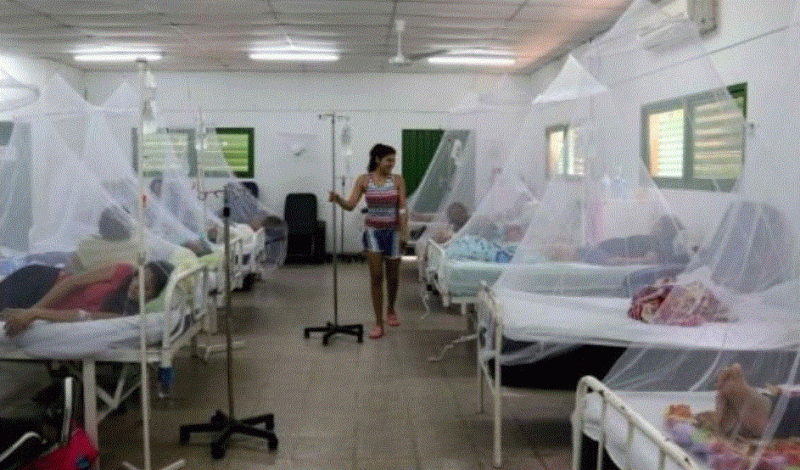 Dengue Cifras Mortales