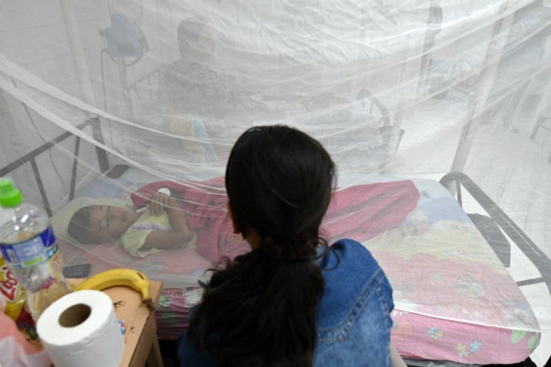 Dengue Escalofriantes Cifras Fallecimientos