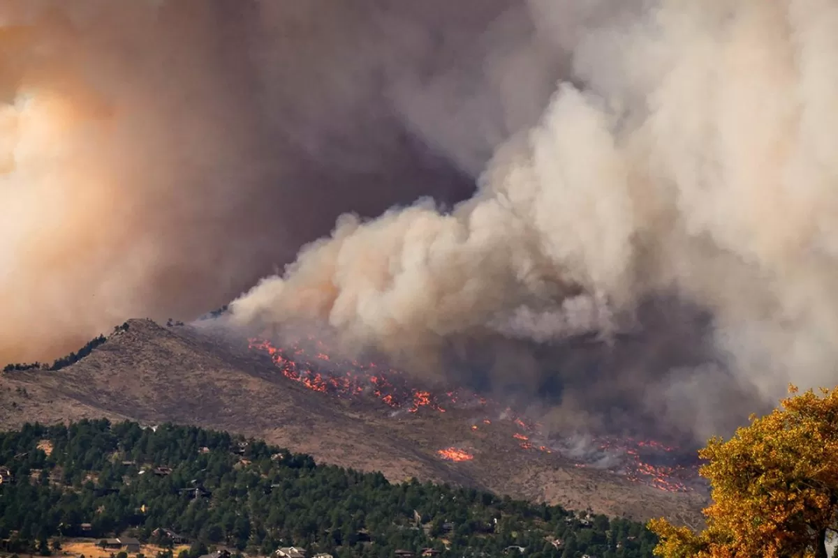 Los incendios forestales aumentarán un 50% a finales de siglo, advierte la ONU
