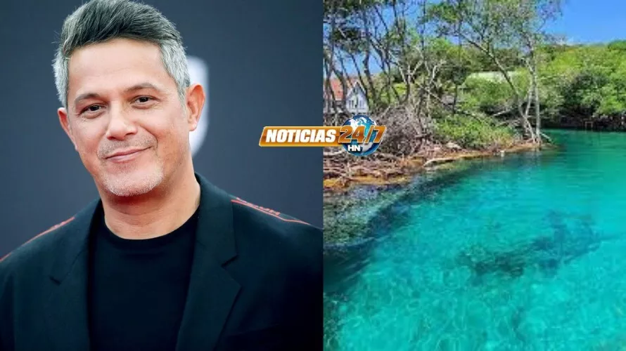 Alejandro Sanz apoyará reforestación de manglares en La Mosquitia