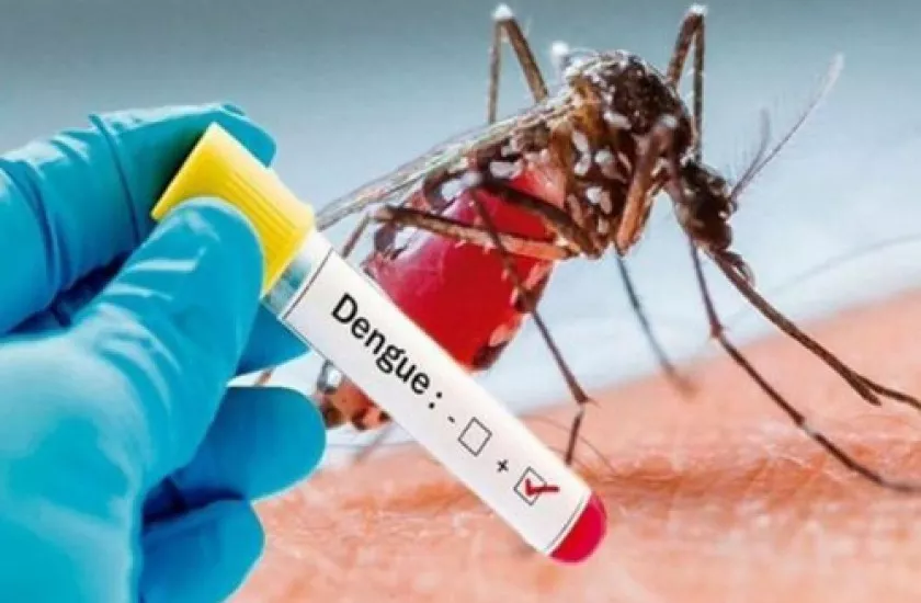 ¡Alerta! Sesal reporta 4,675 casos de Dengue a nivel nacional