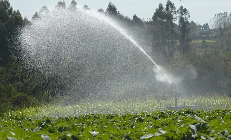 Anuncian reactivación de abandonado proyecto de irrigación para el Valle de Jamastrán