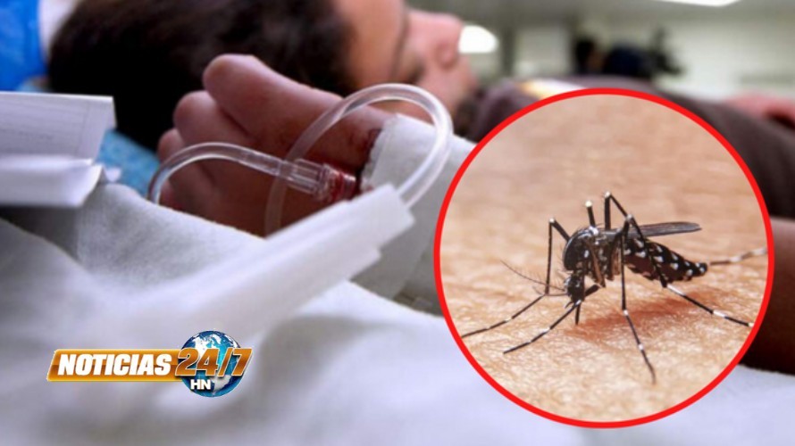 ¡Alerta! Salud reporta más de 9,000 casos de dengue a nivel nacional