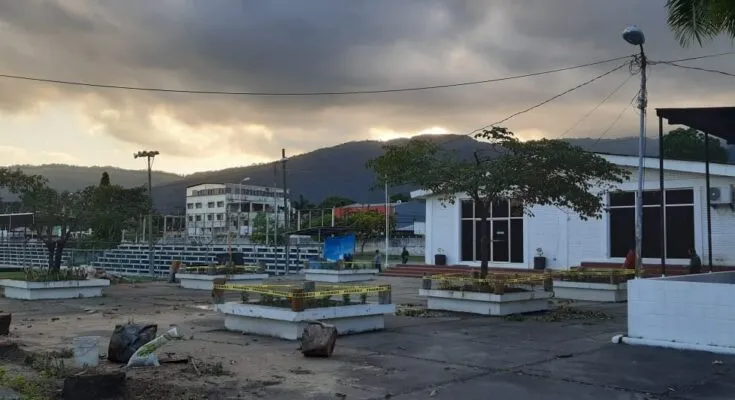 Municipalidad de San Pedro Sula; amiga del cemento, enemiga de los árboles