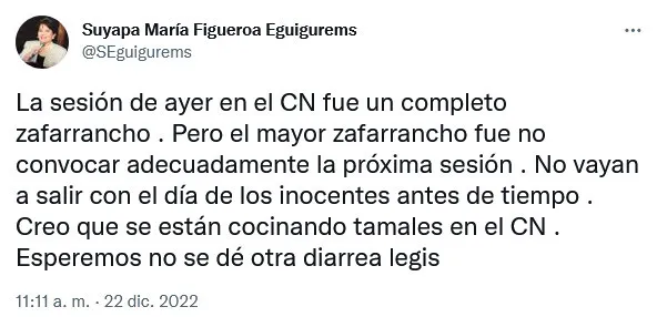 Screenshot 2022-12-22 at 15-56-02 Suyapa María Figueroa Eguigurems en Twitter