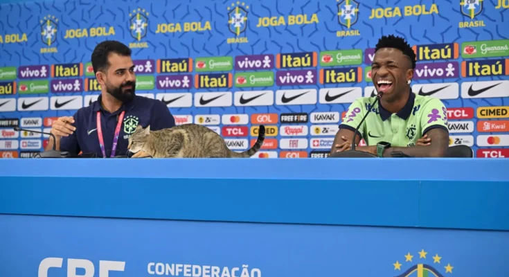 VIDEO Un gato interrumpió la conferencia de prensa de Vinicius