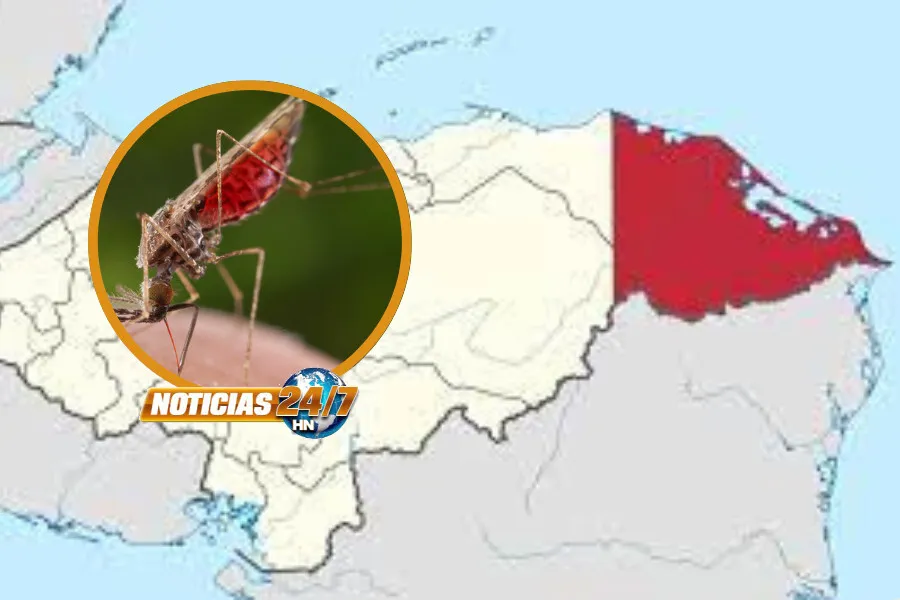 VIDEO: ¡Precaución! Salud reporta más de 3,500 casos de Malaria en Honduras