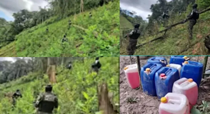 Militares incineran 110.500 arbustos de hoja de coca en Honduras
