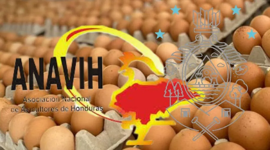 Según acuerdo entre avicultores y gobierno 130 lempiras será precio del cartón de huevos