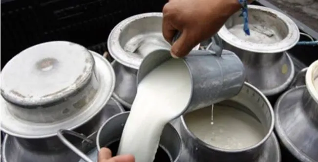 Gilberto Moreno: Por invasiones producción de leche bajó alrededor de un 25%