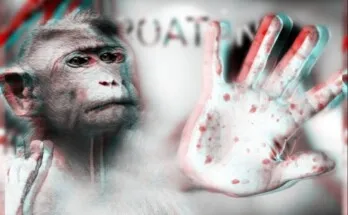 Malas noticias para Roatán: Salud confirma 2 nuevos casos de viruela del mono
