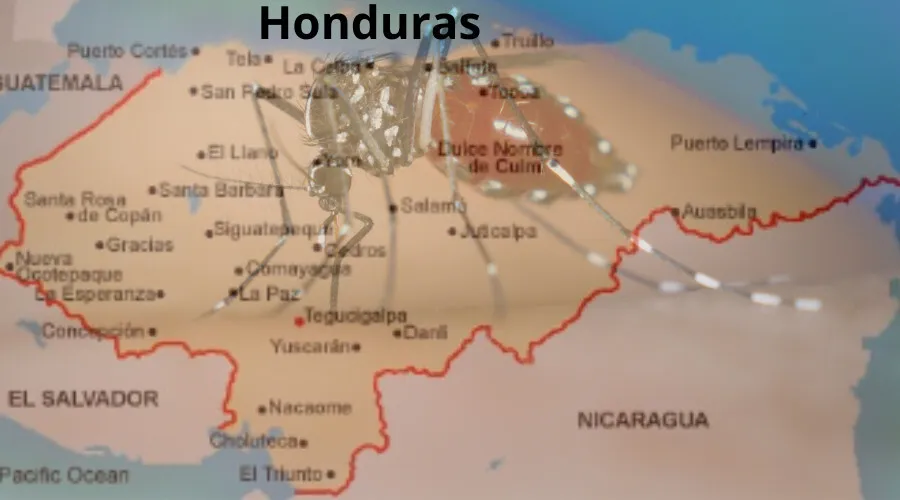 Video: Honduras a la víspera de entrar en nueva epidemia de dengue, advierte Umaña