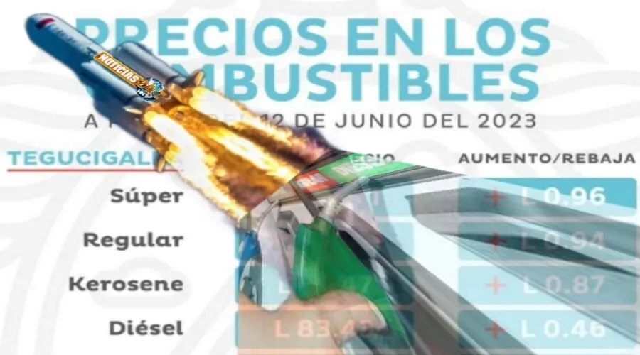 Combustibles Redemin