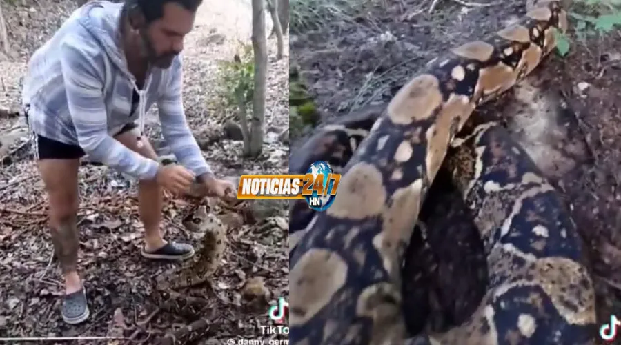 Rescatan enorme 'serpiente come hombres' en Tegucigalpa (VIDEO)