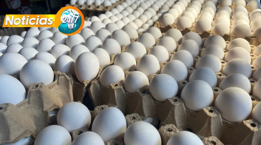 Sampedranos pagan hasta 145 lempiras por un cartón de huevos