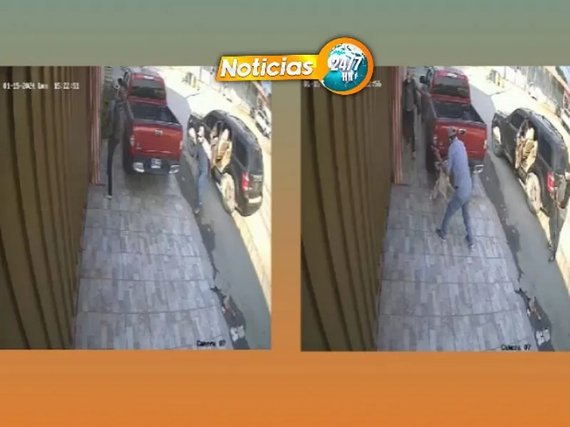 VIDEO VIRAL: Perro intercepta a delincuentes cuando pretendían ingresar a casa de sus amos