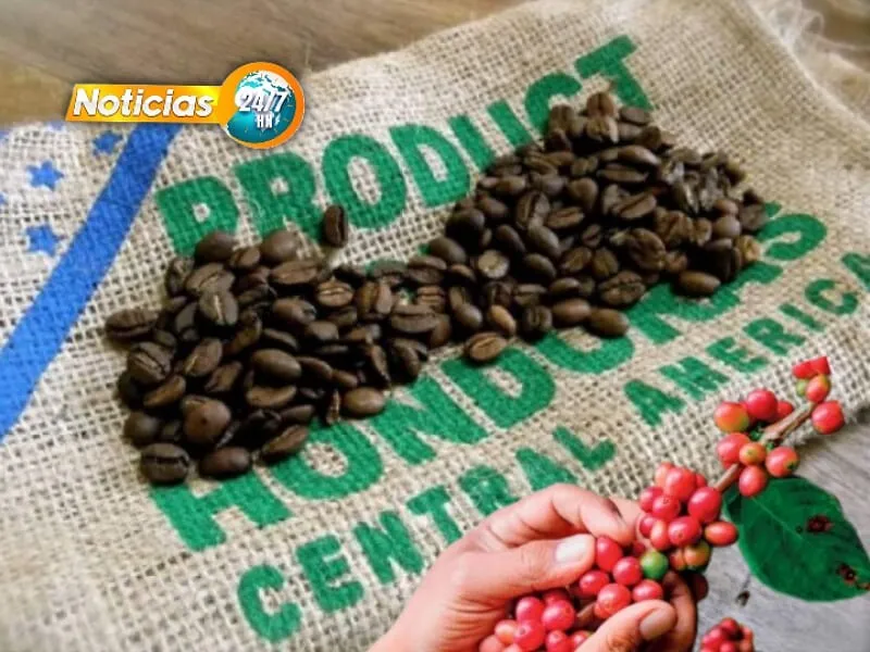 Coffee Product Of Honduras