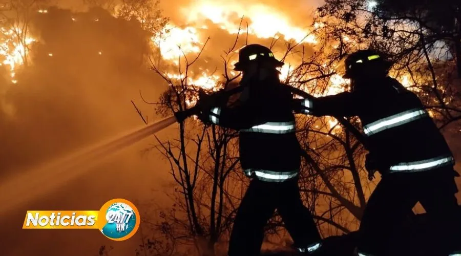 Los incendios forestales no se atacan, hay que prevenirlos asegura Ing. Manuel Iván Fiallos