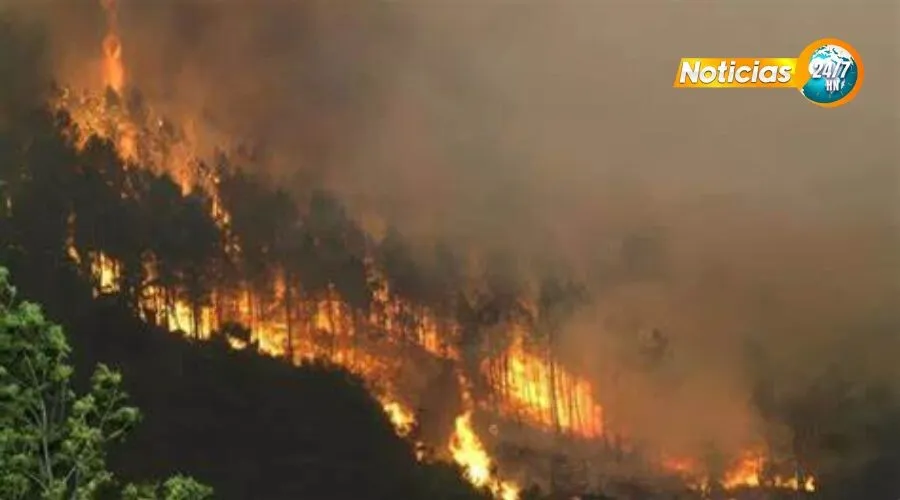 Voraz incendio consume Sierra de Agalta