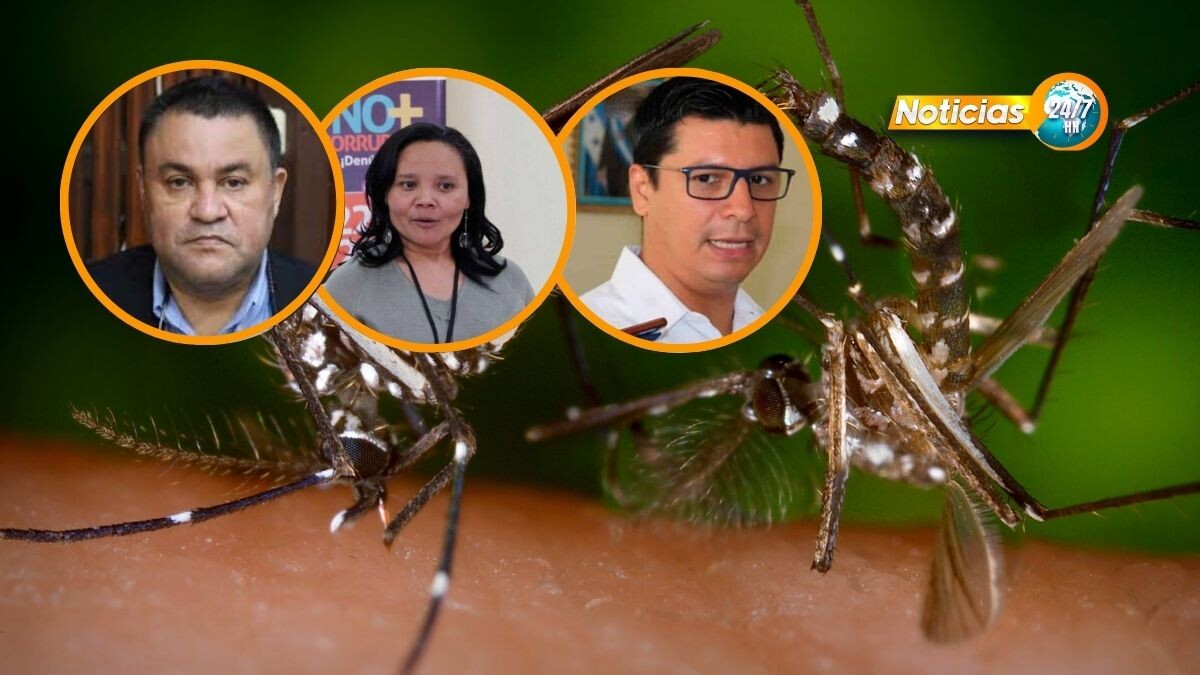 Alarma por dengue: ¡Ley mordaza! Debate encendido por nueva directriz de la SESAL