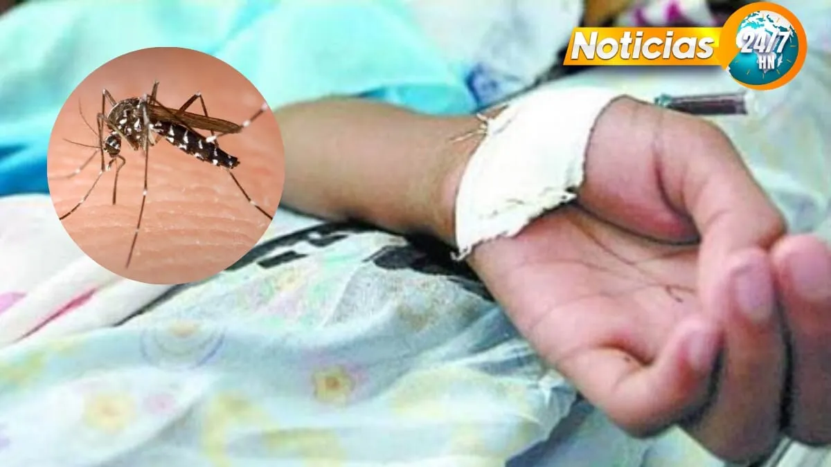 Lluvias aumentarán casos de dengue y muertes no se detienen en medio de emergencia
