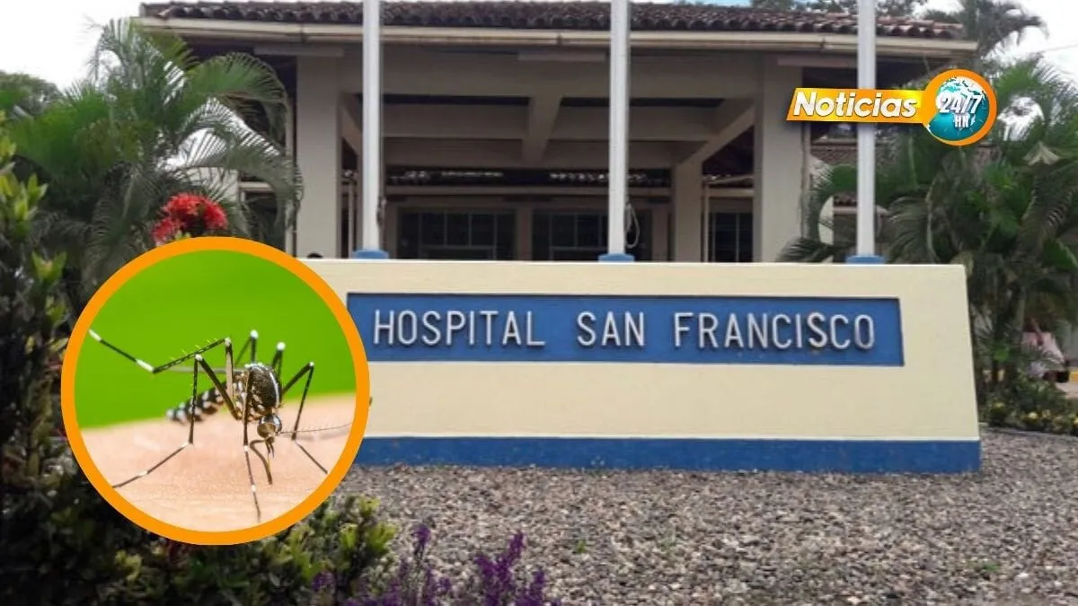 ¡Preocupante! aumentan los casos de dengue en Juticalpa