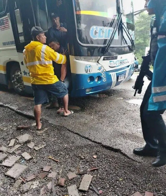 Bus