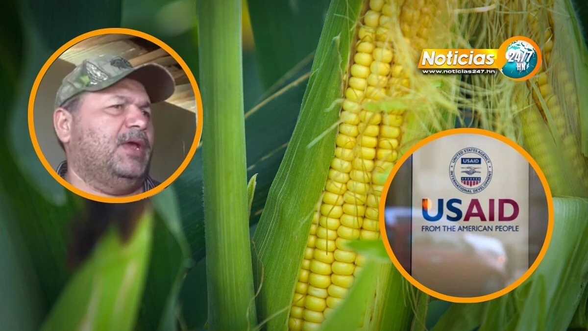 Agricultores De Olanchito Preocupados Por Posible Retiro De Usaid En Honduras