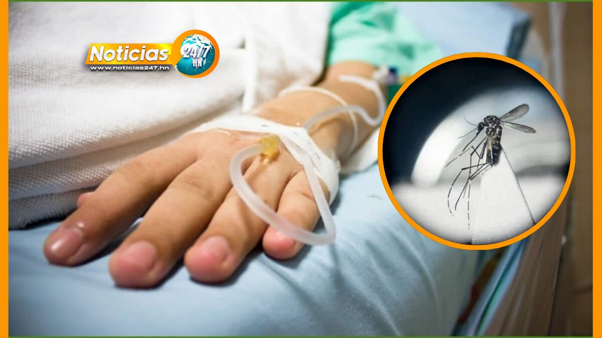 Creciente Amenaza Dengue Grave Impacta A Ninos En Pleno Cambio Climatico
