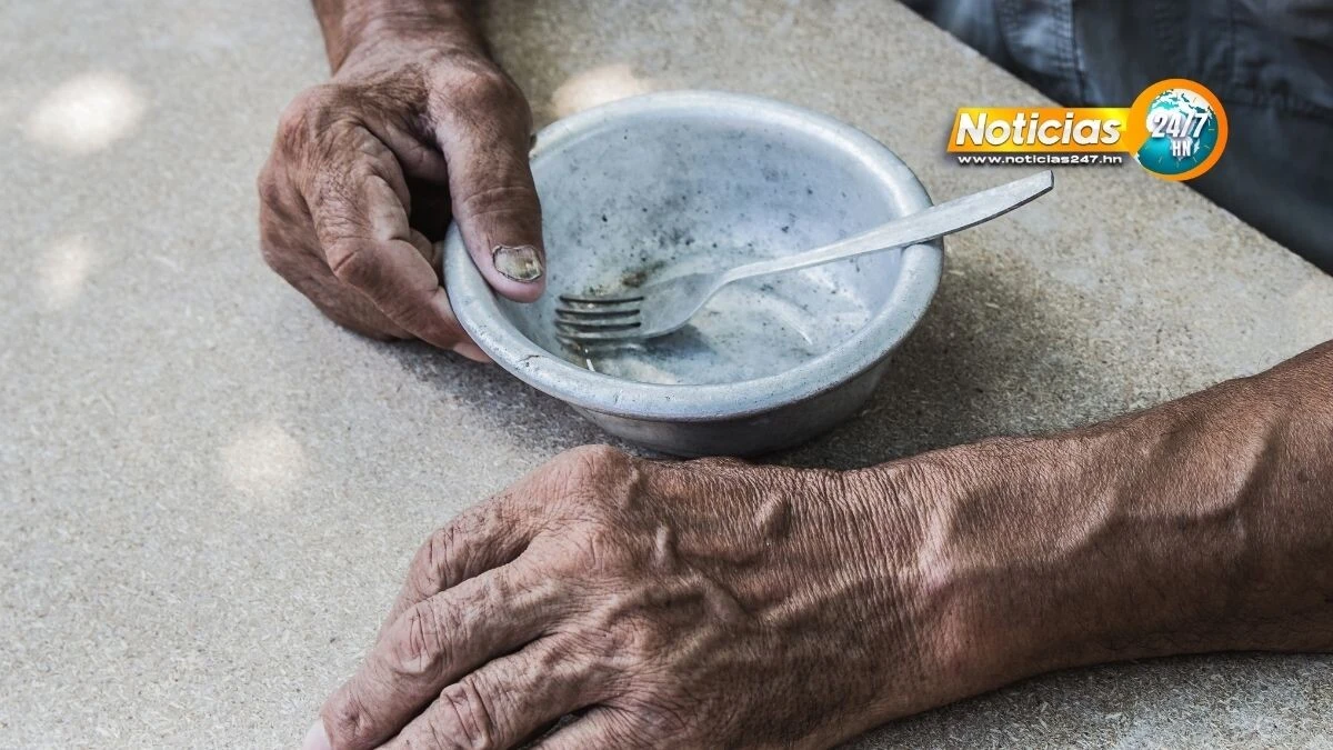 El Hambre Acecha 80 De Hogares Hondurenos Comen Solo Dos Veces Al Dia