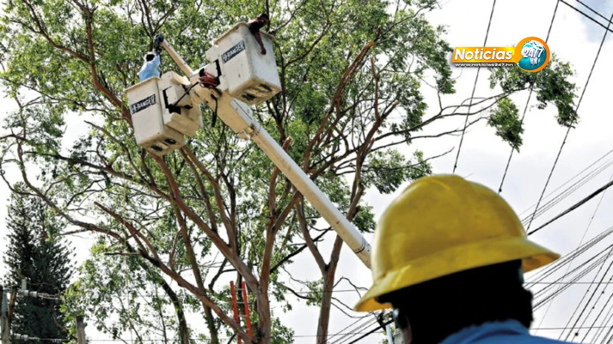 ENEE anuncia corte de energía en varias zonas por mantenimiento este sábado 8 de febrero