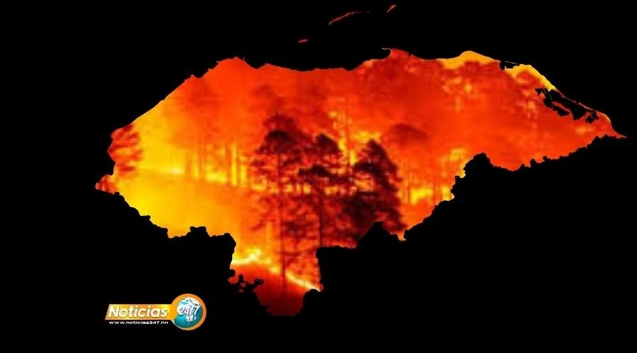 Honduras Arde Incendios Forestales En Honduras Aumentan Un 114 En La Ultima Decada