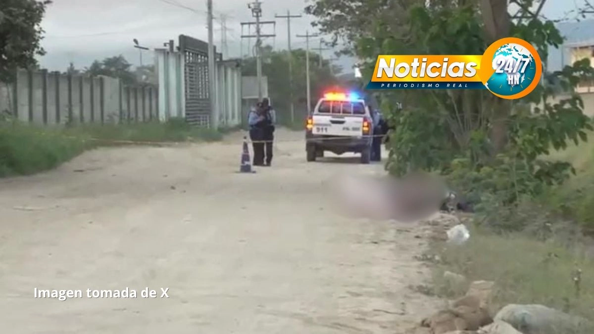 Macabro Hallazgo Hallan Dos Cuerpos Encostalados En Una Zona Industrial De Sps