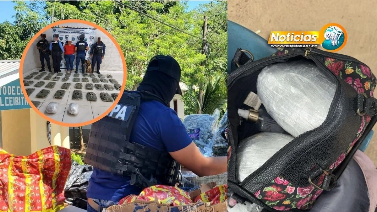 Parecian Huevos De Dinosaurio Pero Era Droga Que Fue Decomisada En Santa Barbara 3