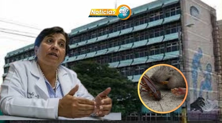Video Entre Plagas Y Abandono El Hospital Escuela Avanza Hacia Su Colapso Segun Denuncia La Doctora Suyapa Figueroa