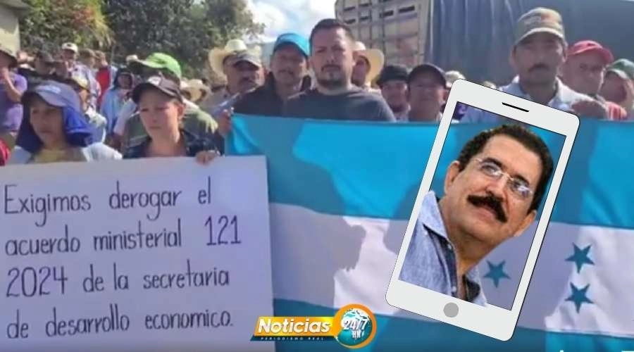 Video Llamada Viralizada Quema A Mel Y Deja Al Descubierto Su Desprecio Por La Situacion De Los Cebolleros