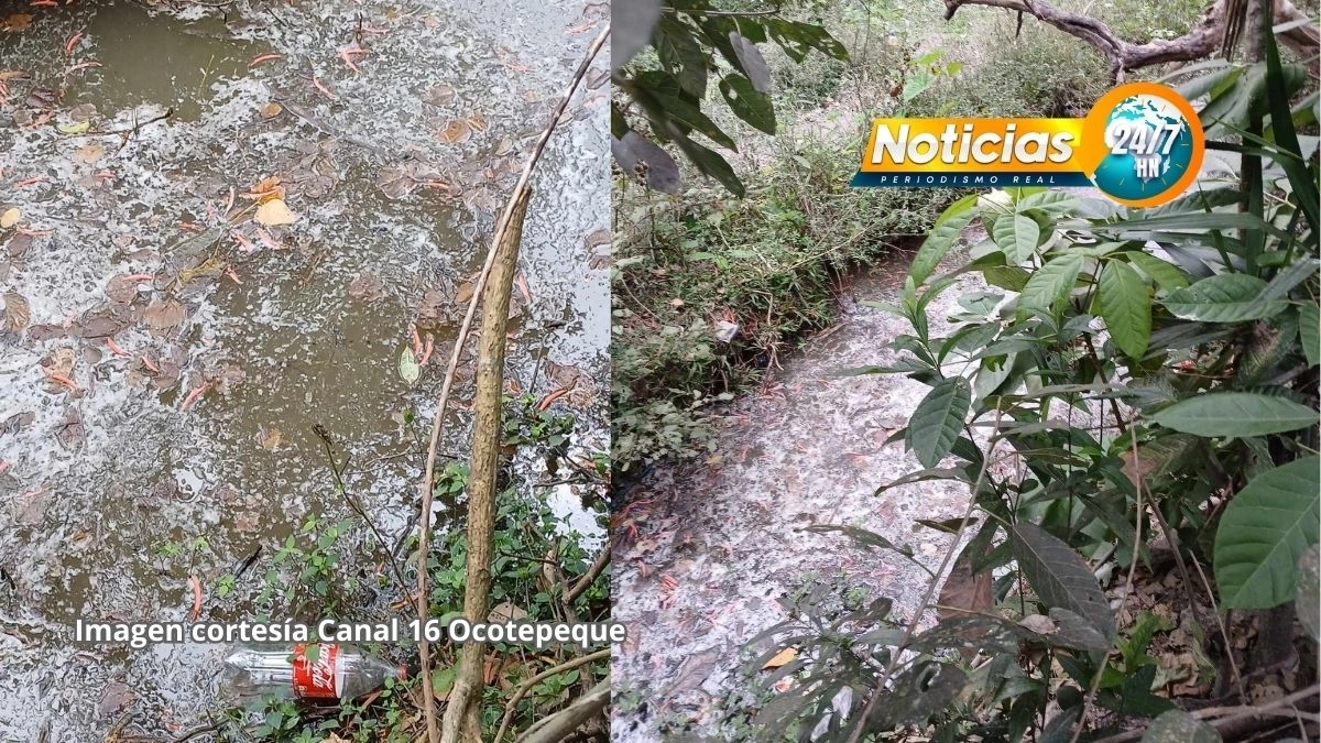 ¡Ya no aguantan! Preocupación en Ocotepeque por ríos contaminados y falta de acción del Gobierno