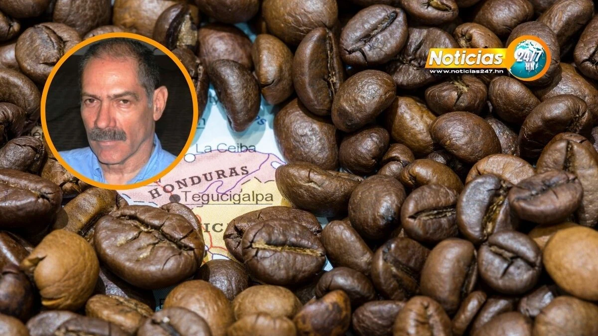 Vender O Esperar Expertos Advierten Sobre La Especulacion En El Mercado Del Cafe