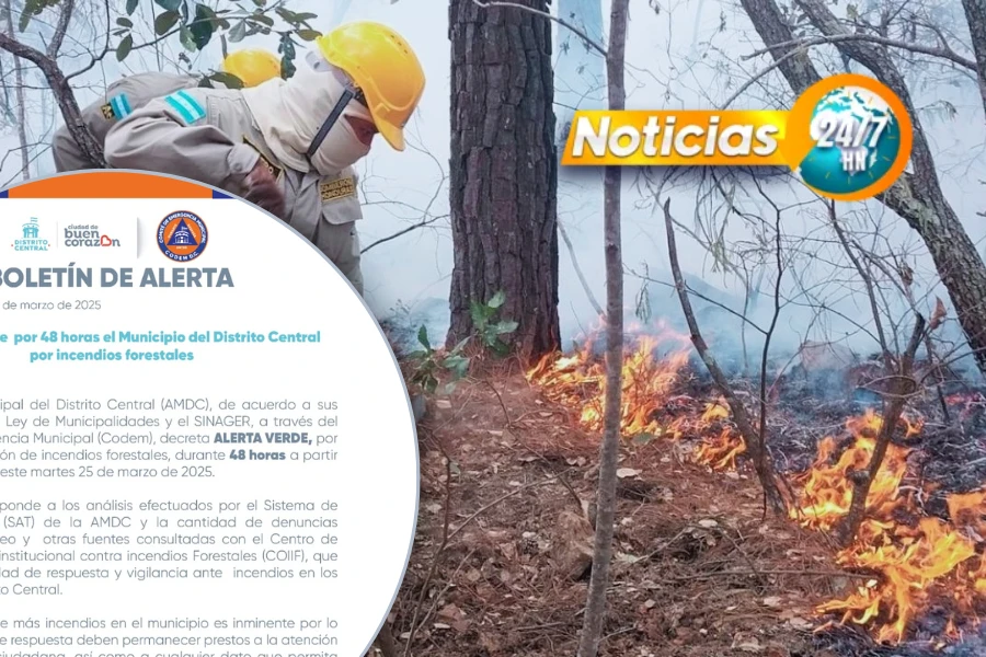 Amdc Decreta Alerta Verde Por Incendios Forestales En El Distrito Central