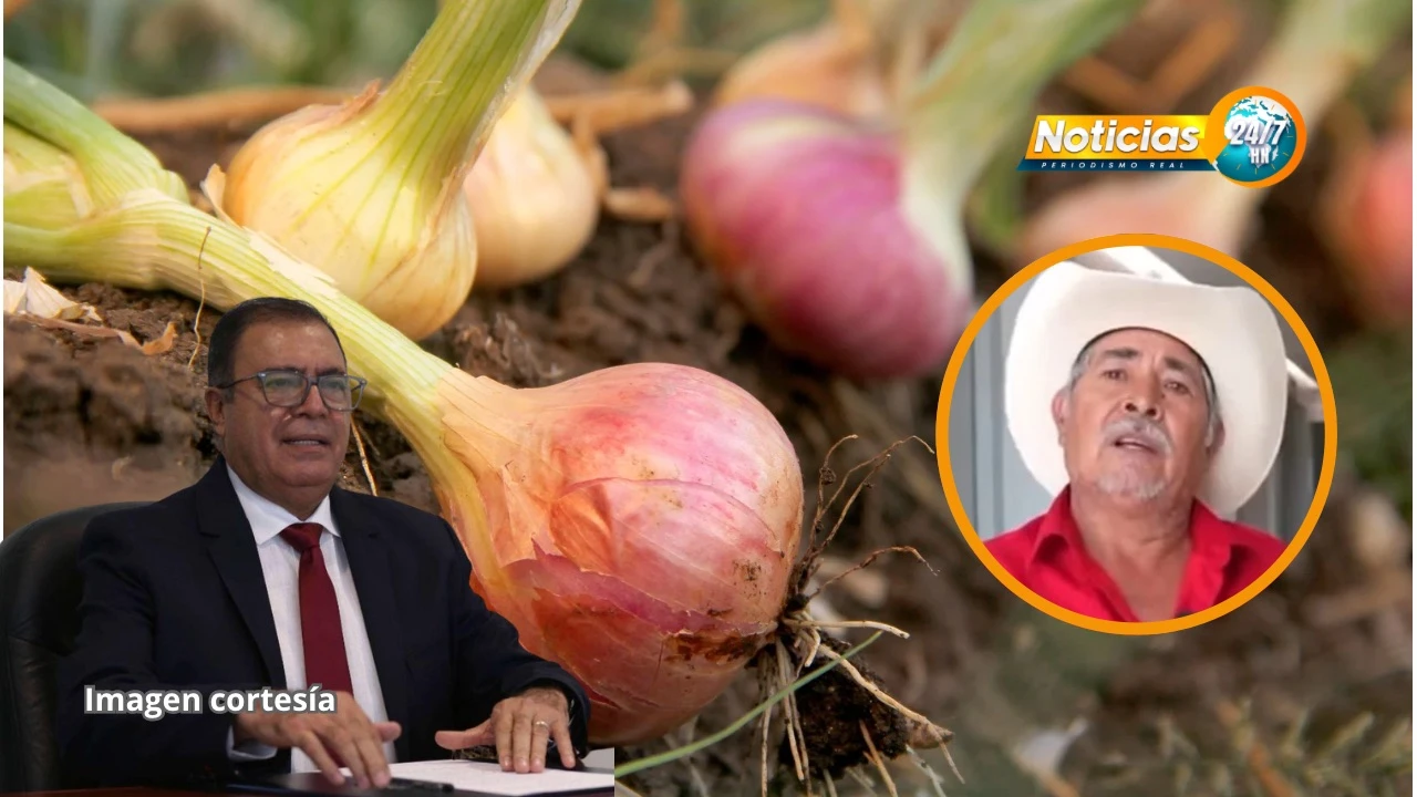 Crisis en el sector cebollero: gobierno y productores enfrentados por regulación del mercado