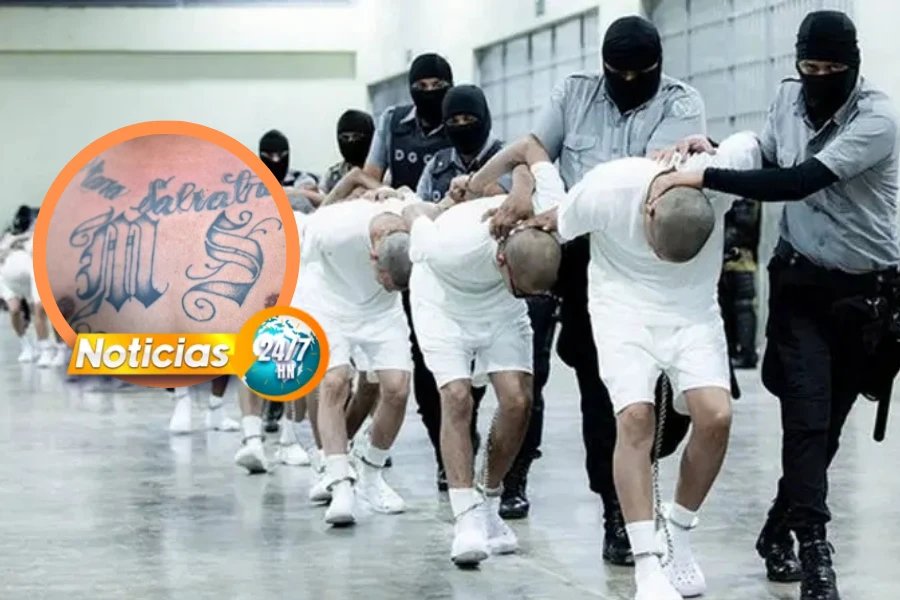 El texto del parrafo 20250331 084752 0000