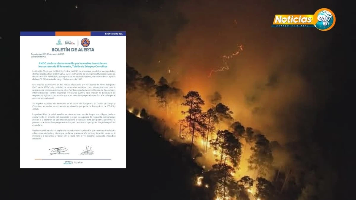 Emergencia En Tegucigalpa Alcaldia Declara Alerta Amarilla Por Incendios Forestales