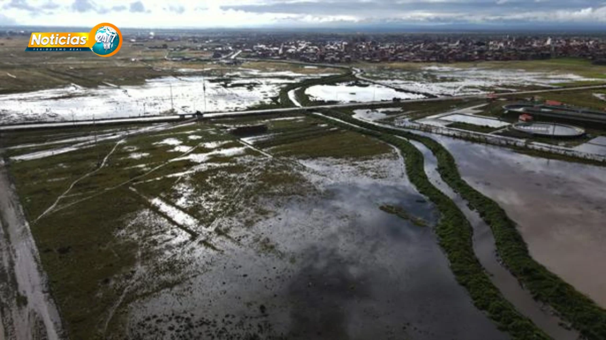Gobierno De Bolivia Declara Emergencia Nacional Por Las Lluvias Que Ya Dejan 51 Muertos