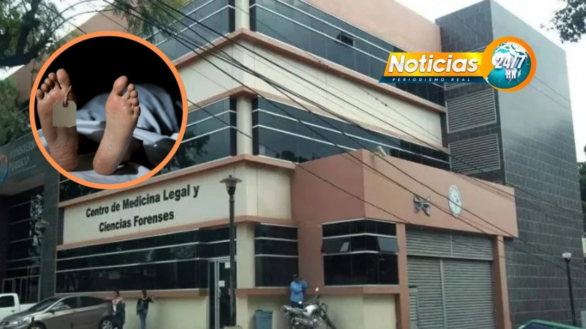Mas De 300 Autopsias Realizadas En La Morgue Capitalina En Lo Que Va Del 2025