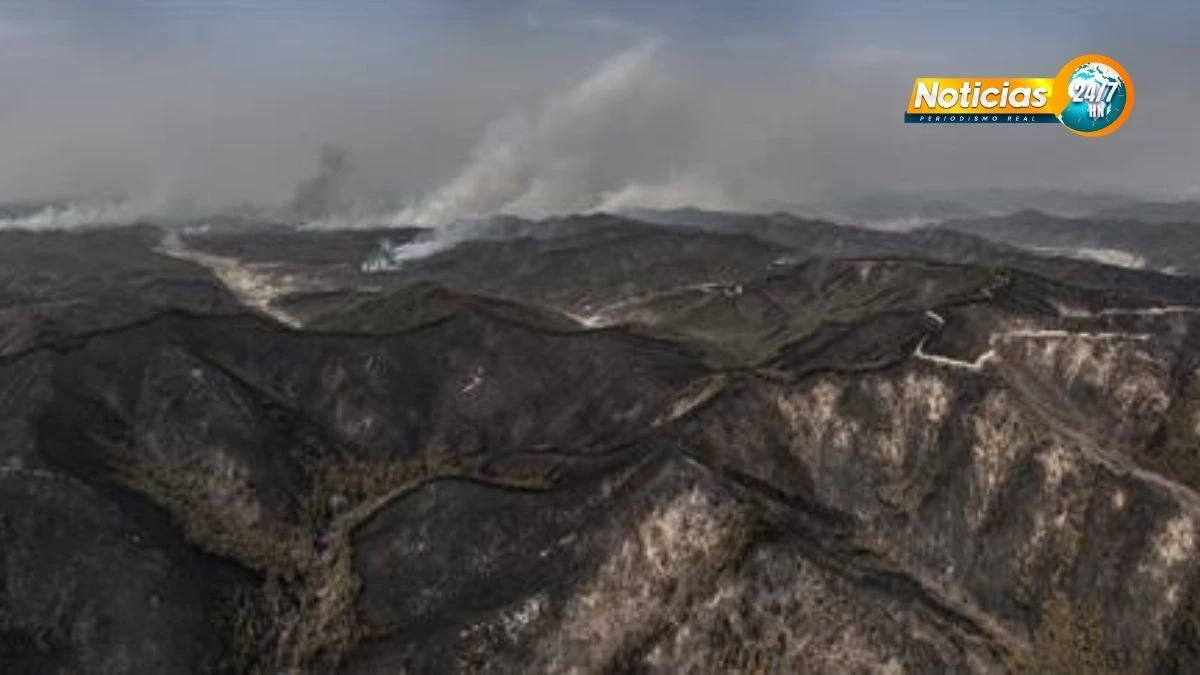 Mas De 3300 Evacuados Y Casi 15000 Hectareas Quemadas Por Incendios En Corea Del Sur